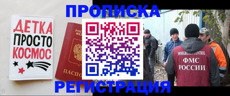 прописка поиск в Камышине